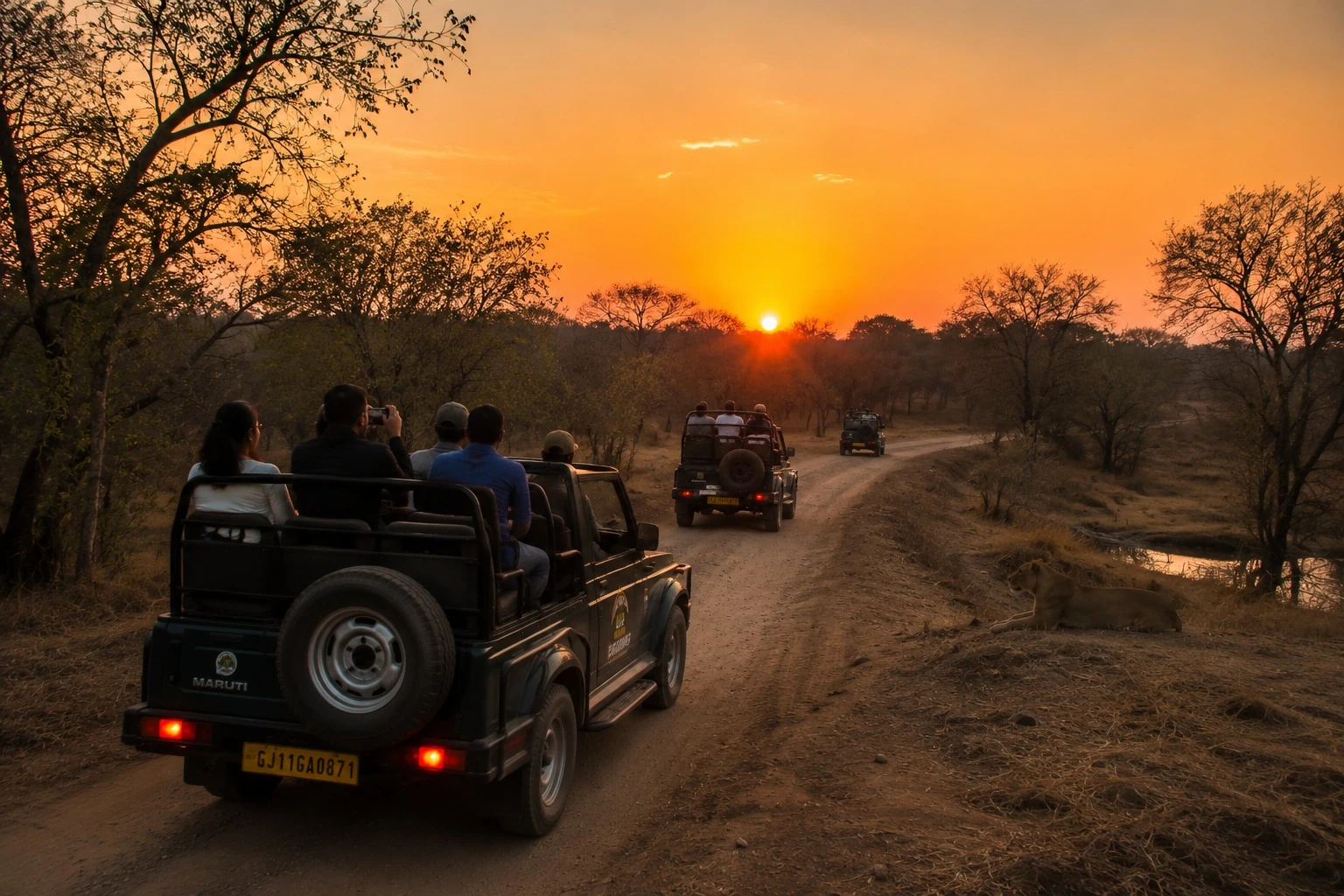 Sunset Drive